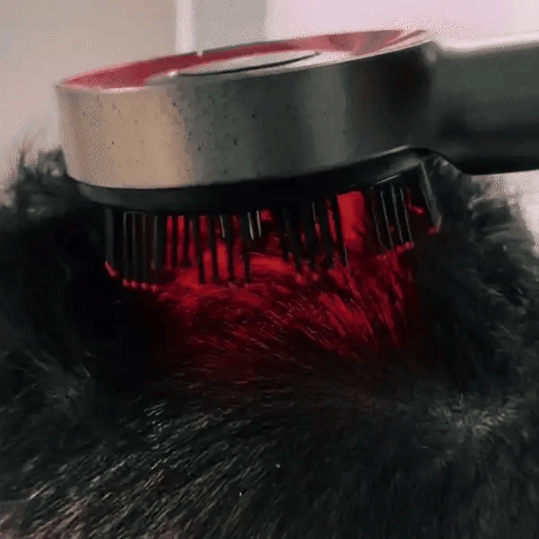LushLift Scalp Massager Comb